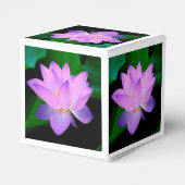 Ballotins Fleur de Lotus (Arrière)
