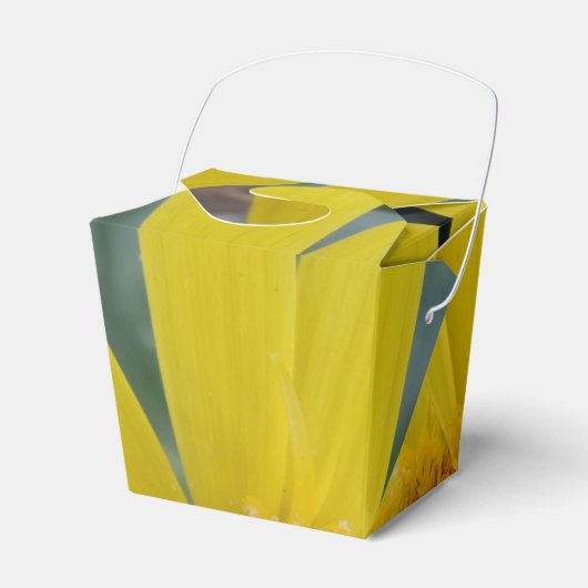 Ballotins Fleur Jaune Sortir Ballotin (Verso)