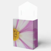 Ballotins Fleur violette claire (Ouvert)