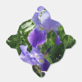 Ballotins Fleur violette Sortir Ballotin (Déplié)