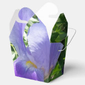 Ballotins Fleur violette Sortir Ballotin (Ouvert)