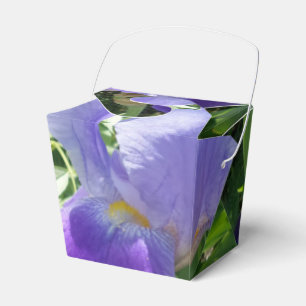 Ballotins Fleur violette Sortir Ballotin