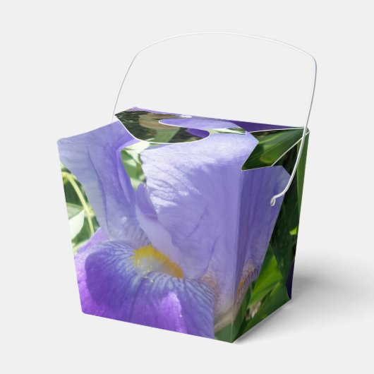 Ballotins Fleur violette Sortir Ballotin (Verso)