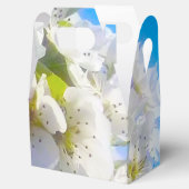 Ballotins Fleurs de poires (Ouvert)