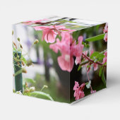 Ballotins Fleurs d'été (Arrière)