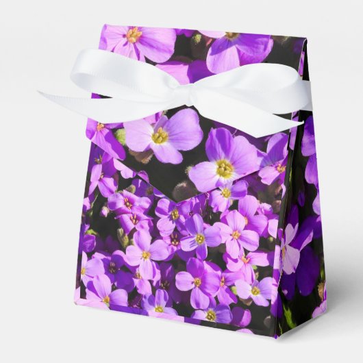 Ballotins Fleurs violettes (Verso)