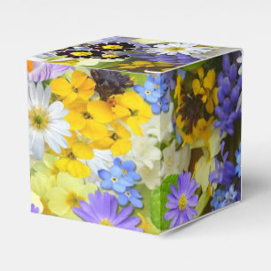 Ballotins Flux de printemps