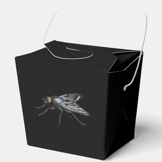Ballotins Fly Buddy géant mouche noir sortir boîte (Recto)
