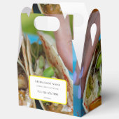 Ballotins food/ restaurant/ package style (Ouvrir)