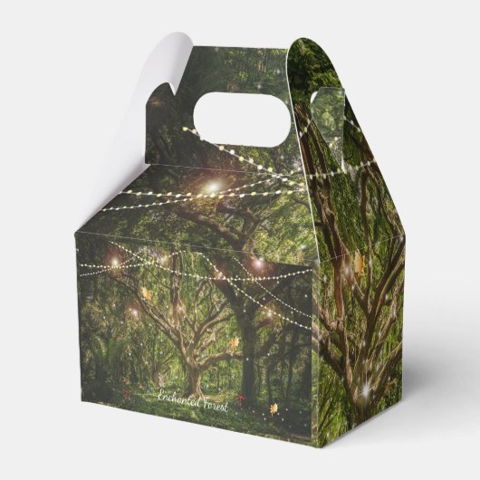 Ballotins Forêt Enchantée Sweet 16 Fées Fées Feux (Arrière)