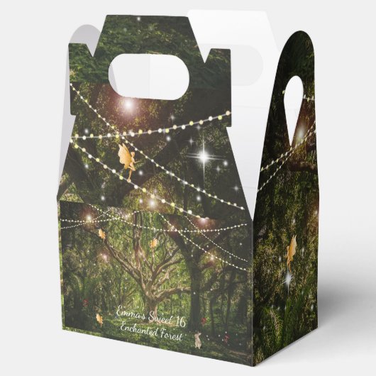 Ballotins Forêt Enchantée Sweet 16 Fées Fées Feux (Ouvert)