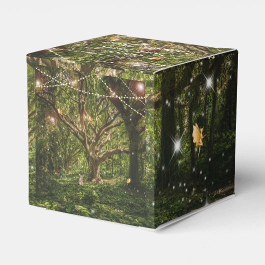 Ballotins Forêt Enchantée Sweet 16 Fées Fées Feux (Arrière)