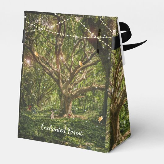 Ballotins Forêt Enchantée Sweet 16 Fées Fées Feux (Arrière)