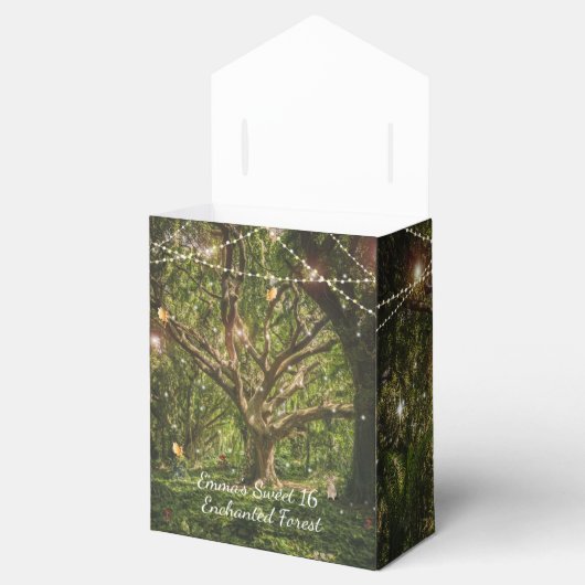 Ballotins Forêt Enchantée Sweet 16 Fées Fées Feux (Ouvert)
