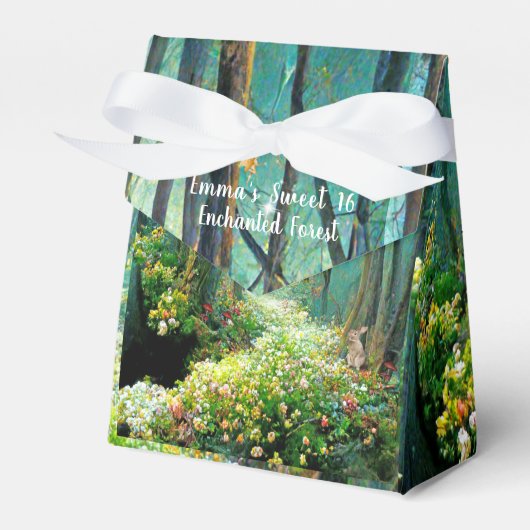 Ballotins Forêt Enchantée Sweet 16 Fées Fées Feux (Verso)