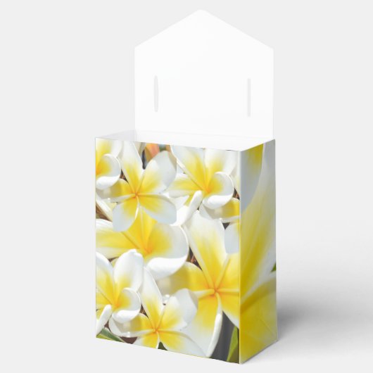 Ballotins Frangipani Bouquet, (Ouvert)