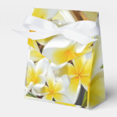 Ballotins Frangipani Bouquet, (Verso)