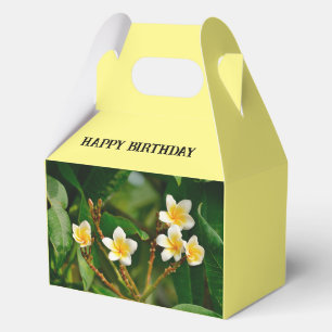 Ballotins Frangipani jaune