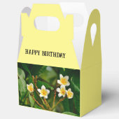 Ballotins Frangipani jaune (Ouvrir)