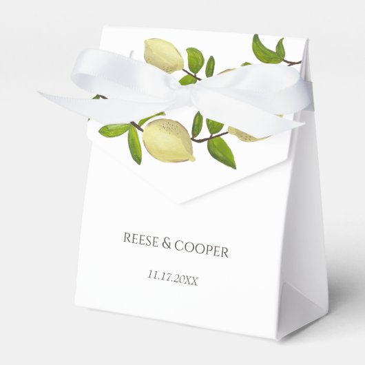 Ballotins Fresh Citrus Painted Lemons Modern Mediterranean (Verso)