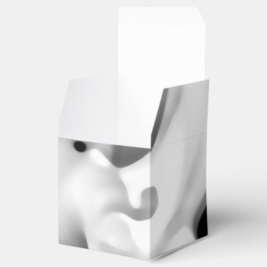 Ballotins Frozen : gris Abstrait, blanc et noir (Ouvert)