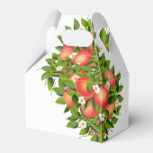 Ballotins Fruit de Pêche moderne | Boîte de faveurs de maria (Arrière)