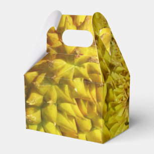 Ballotins Fruit durian