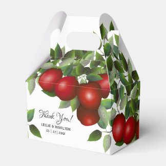 Ballotins Fruit moderne aux pommes rouges | Boîte de faveurs