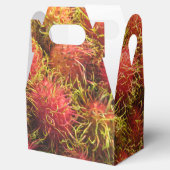 Ballotins Fruits tropicaux Rambutan (Ouvert)