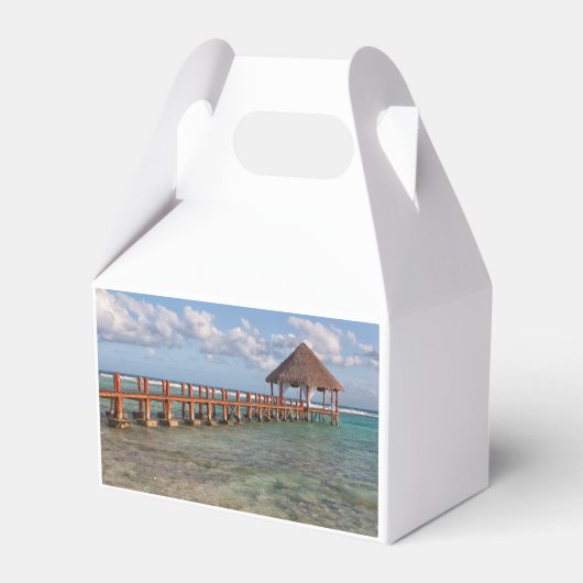 Ballotins Gazebo mexicain (Arrière)