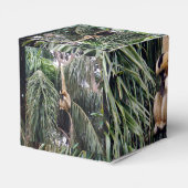 Ballotins Gibbon Monkey Just Chillin, Favoriser Party Box (Arrière)