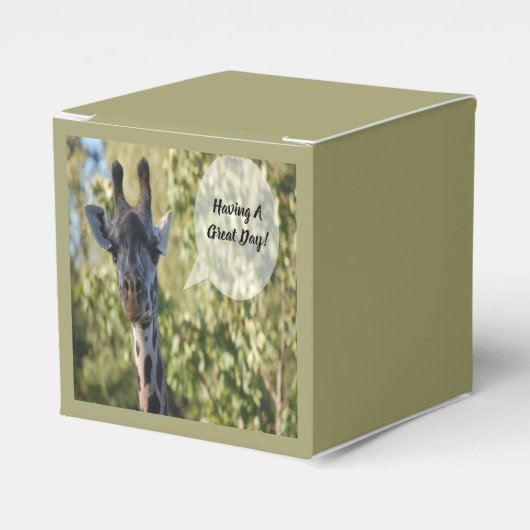 Ballotins Giraffe (Verso)