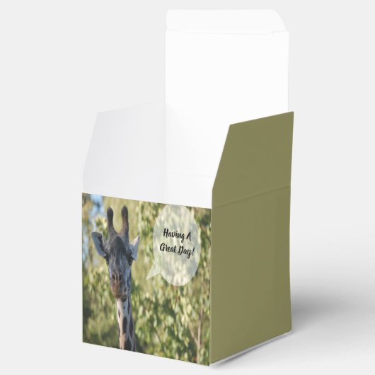 Ballotins Giraffe (Ouvert)