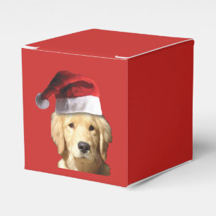 Ballotins Golden retriever le père noël