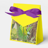 Ballotins Goldfinch (Verso)