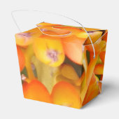 Ballotins Graines de fleurs Sortir Ballotin (Arrière)