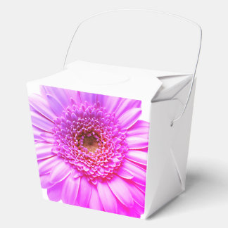 Ballotins Graphique de marguerite transvale Couleur Fleur