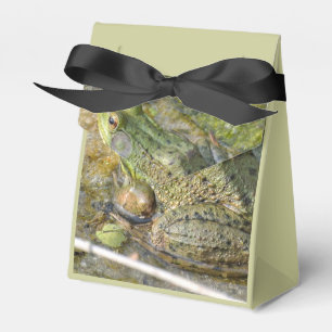 Ballotins Grenouille Anniversaire Fête Enfants Garçon Animal