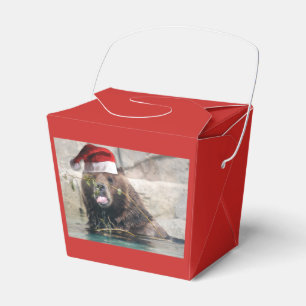 Ballotins Grizzly Bear Père Noël