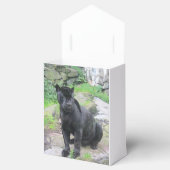 Ballotins Gros chat Jaguar noir assis sur le rocher (Ouvert)