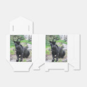 Ballotins Gros chat Jaguar noir assis sur le rocher (Déplié)