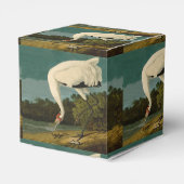 Ballotins Grue blanche Audubon Peinture d'oiseaux (Arrière)