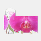 Ballotins Guda (Déplié)