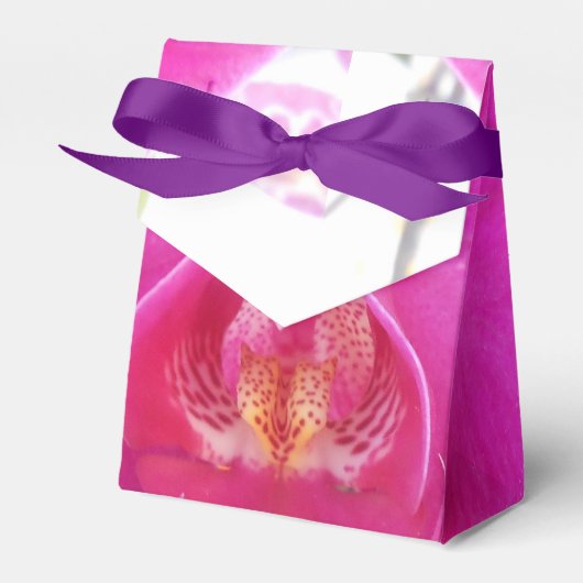 Ballotins Guda (Verso)