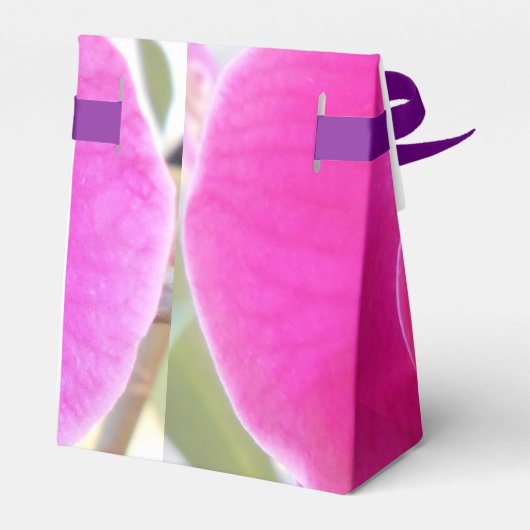 Ballotins Guda (Arrière)