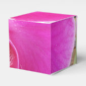 Ballotins Guda (Verso)