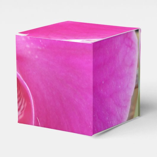 Ballotins Guda (Verso)