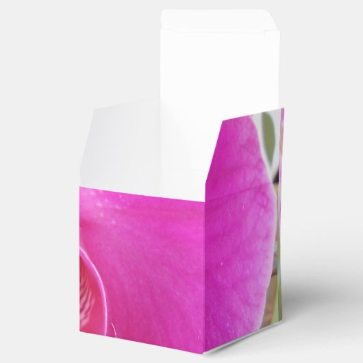 Ballotins Guda (Ouvert)