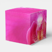 Ballotins Guda (Arrière)