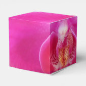 Ballotins Guda (Arrière)